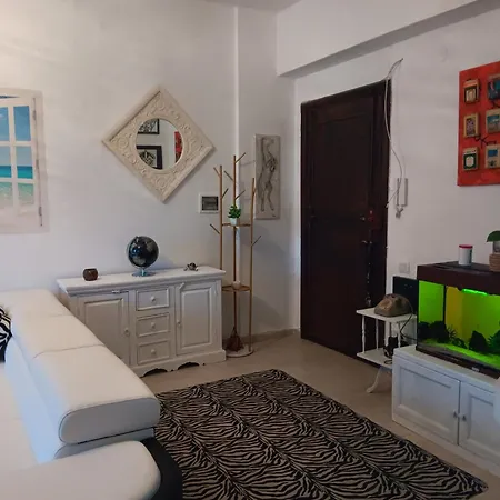Surf House D'elite